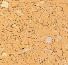 Кварцвиниловые полы Forbo Colorex EC EC 250219 assuan фото 1 | FLOORDEALER